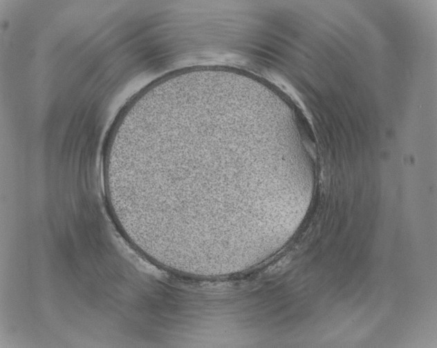 X0000070861080200607071852