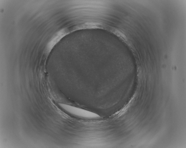 X0000070861081200607071852