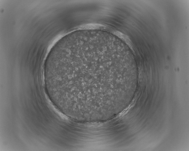 X0000070861083200607071852