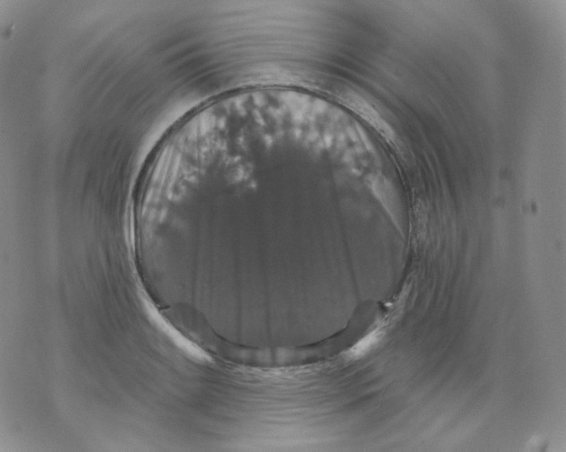 X0000070861084200607071852