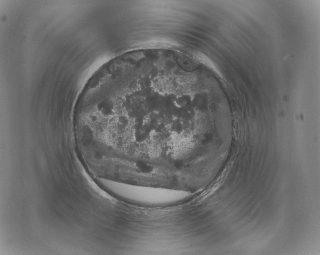 X0000070861087200607071851