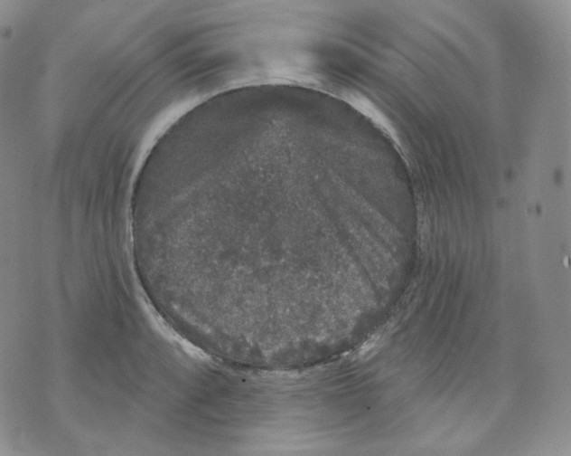 X0000070861088200607071851