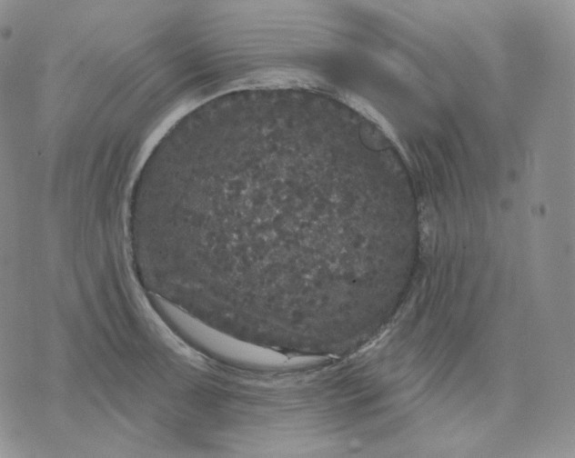 X0000070861091200607071851