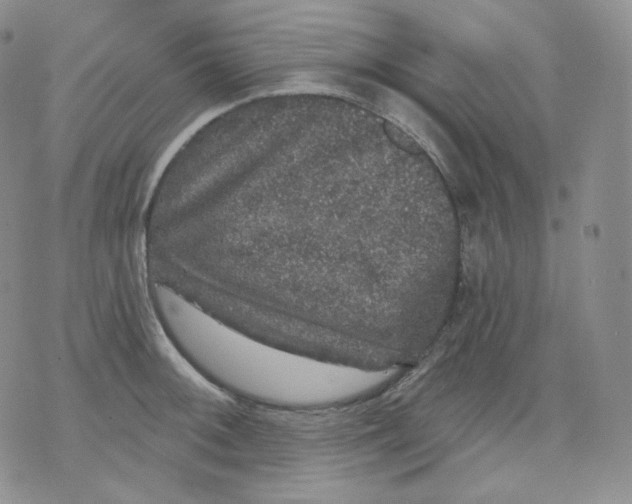 X0000070861092200607071851