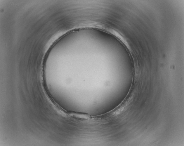 X0000070861093200607071851