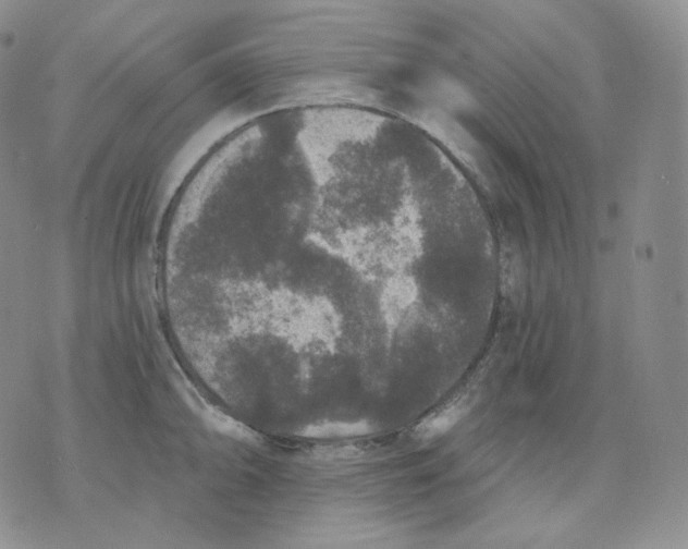 X0000070861094200607071851