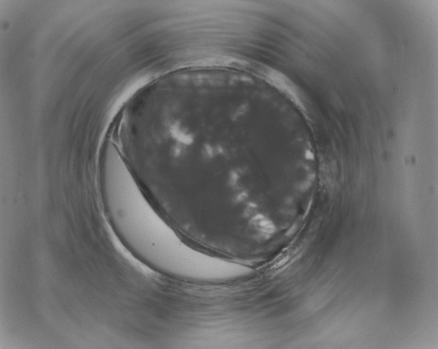 X0000070861095200607071851