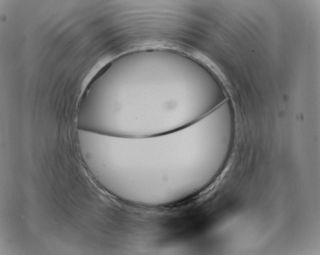 X0000070861097200607071851