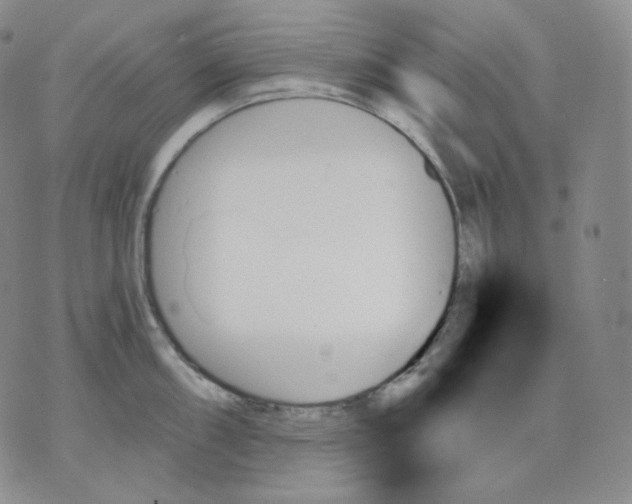 X0000070861098200607071851