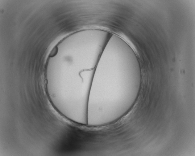 X0000070861100200607071851