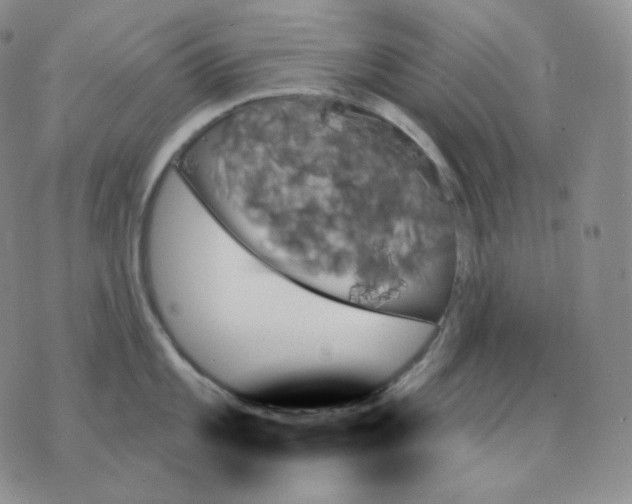 X0000070861101200607071851