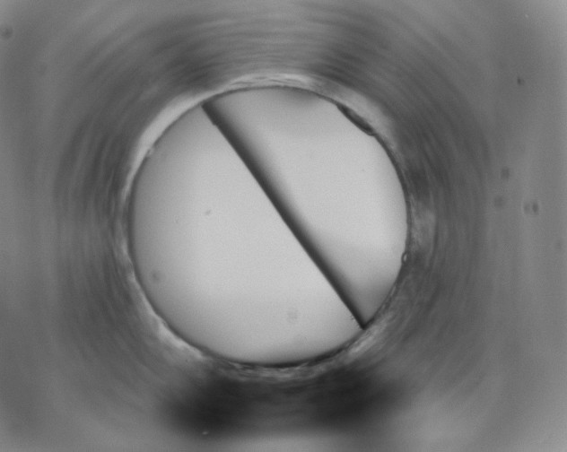 X0000070861102200607071851