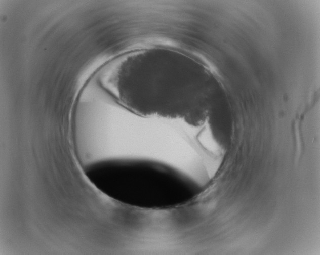 X0000070861103200607071851