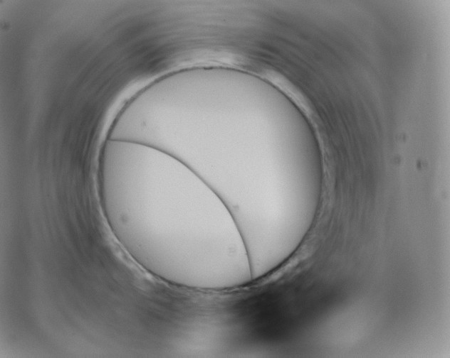 X0000070861104200607071851