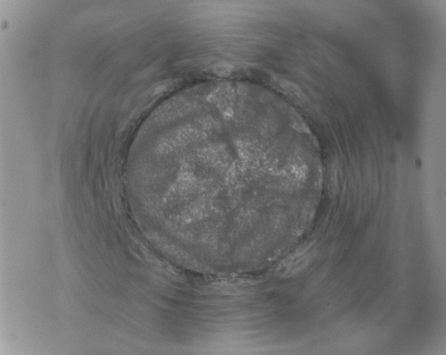 X0000070861105200607071850