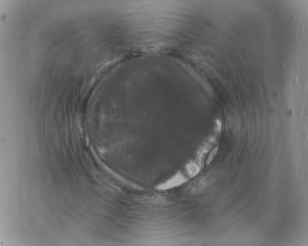 X0000070861106200607071850