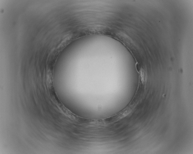 X0000070861107200607071850