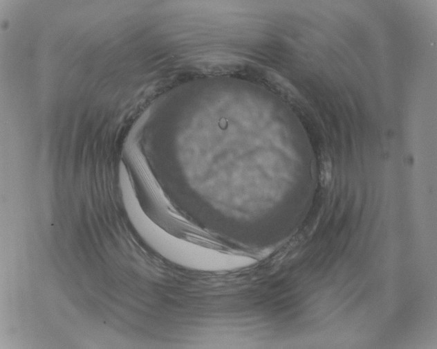 X0000070861108200607071850