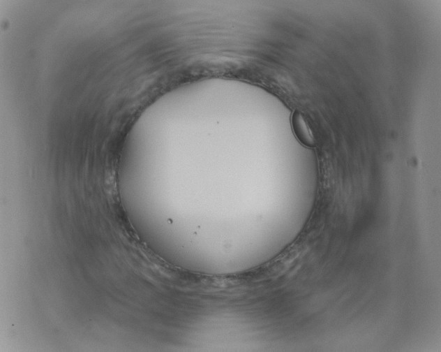 X0000070861109200607071850