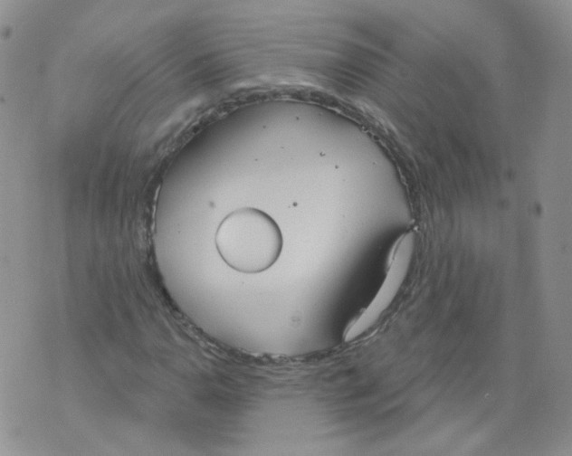 X0000070861110200607071851