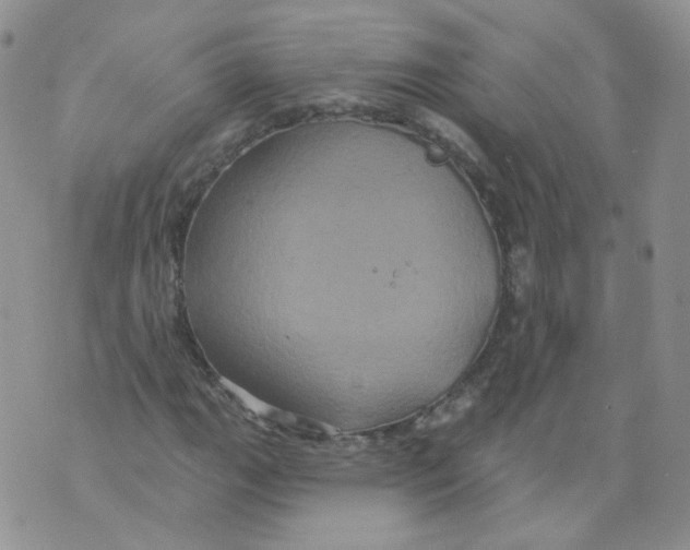 X0000070861111200607071851