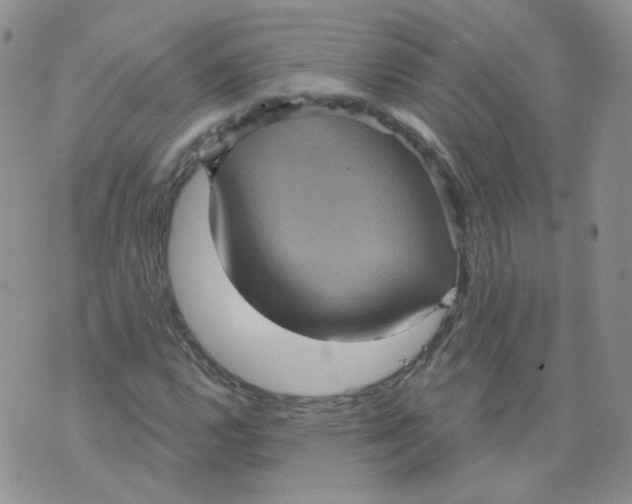 X0000070861112200607071851