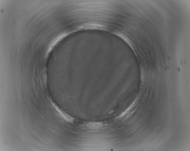 X0000070861115200607071851