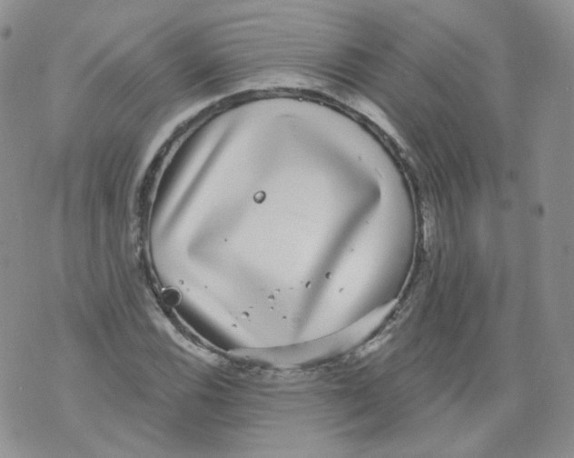 X0000070861116200607071851