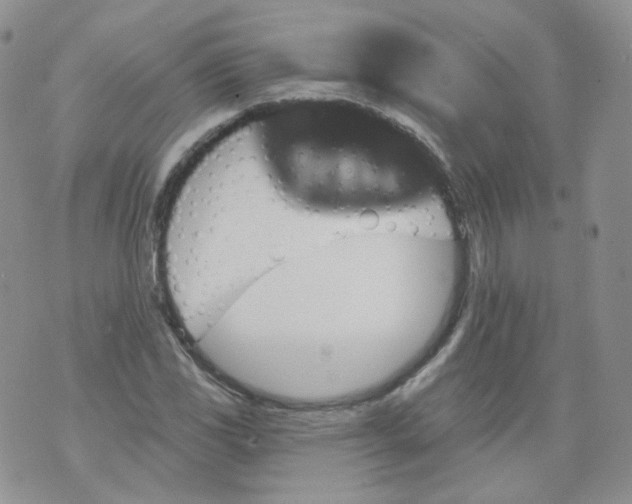 X0000070861117200607071851