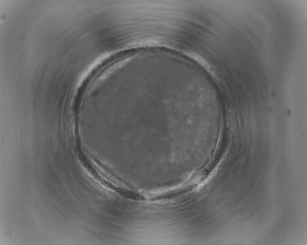 X0000070861118200607071851