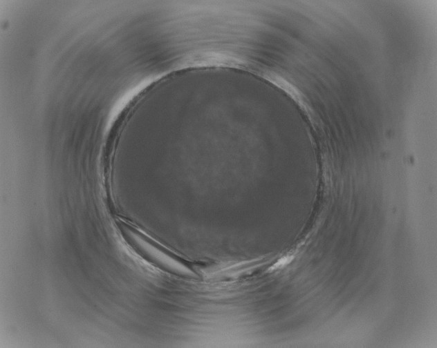 X0000070861120200607071851