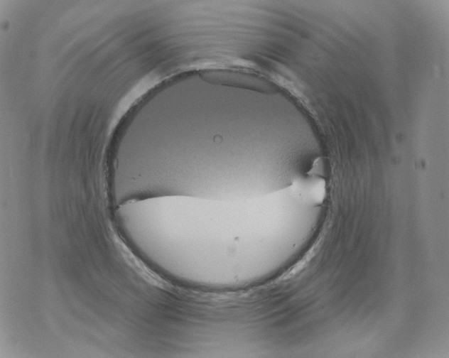 X0000070861122200607071851