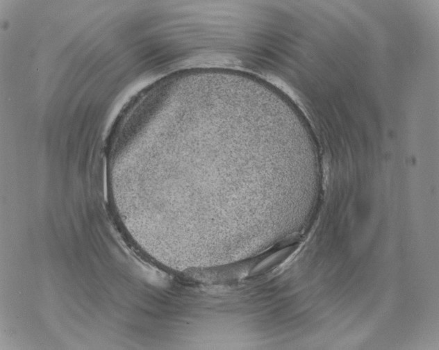 X0000070861123200607071851