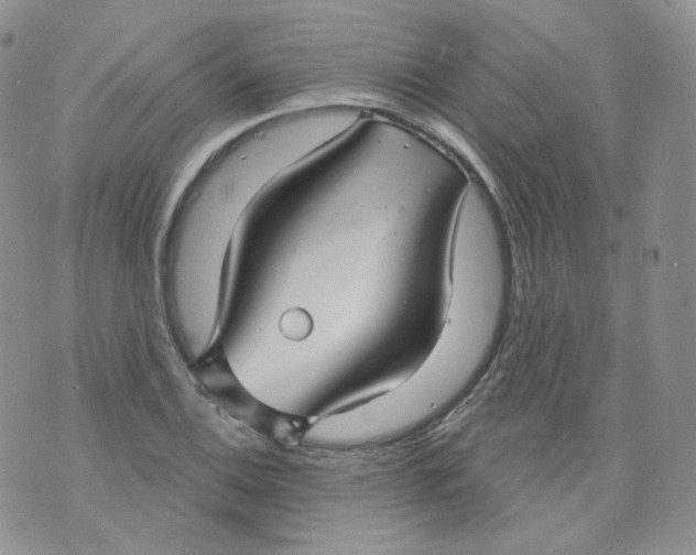 X0000070861124200607071851