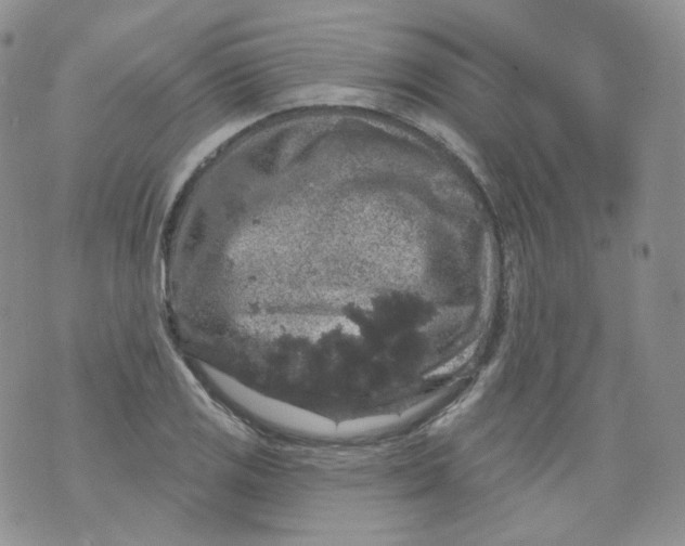 X0000070861125200607071851