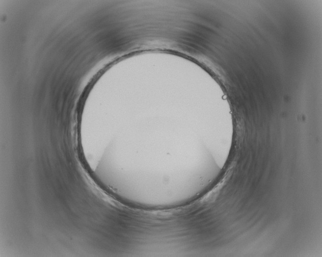 X0000070861126200607071851