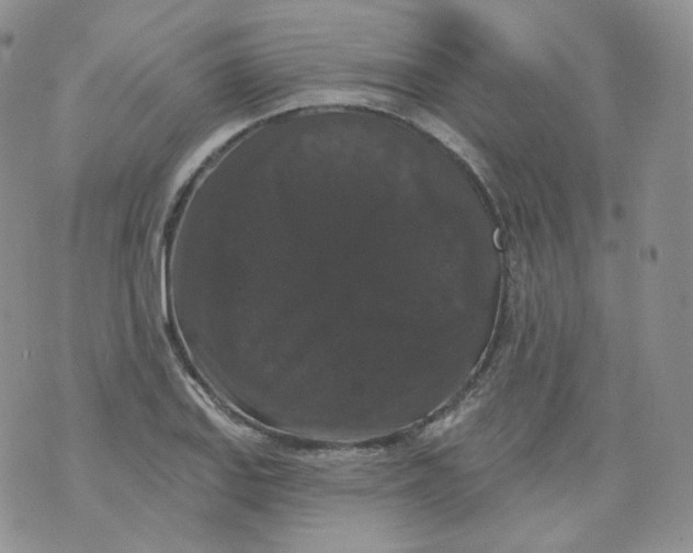 X0000070861127200607071851