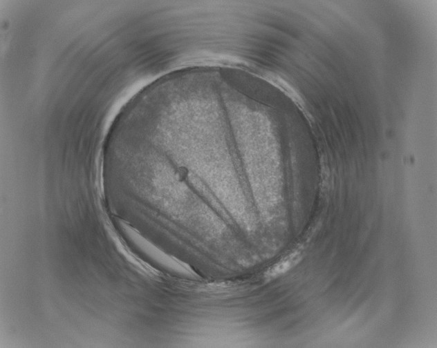 X0000070861128200607071851