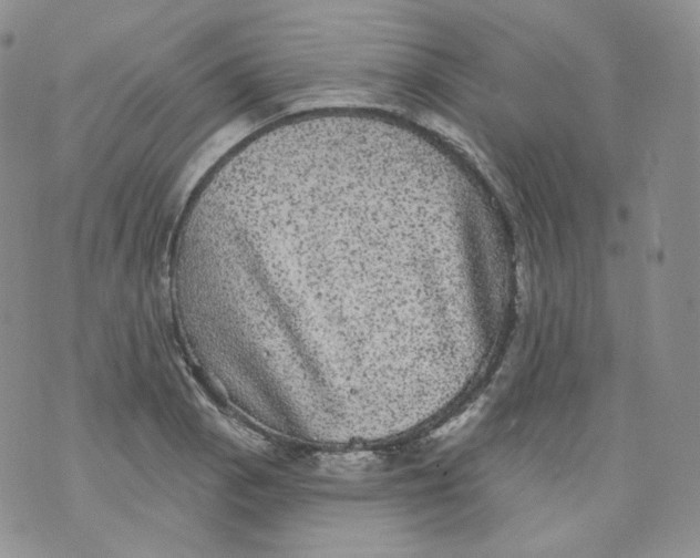 X0000070861129200607071851