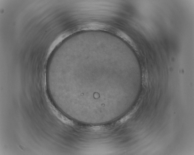 X0000070861130200607071851