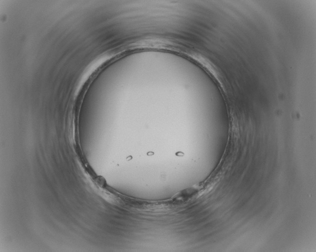 X0000070861131200607071851