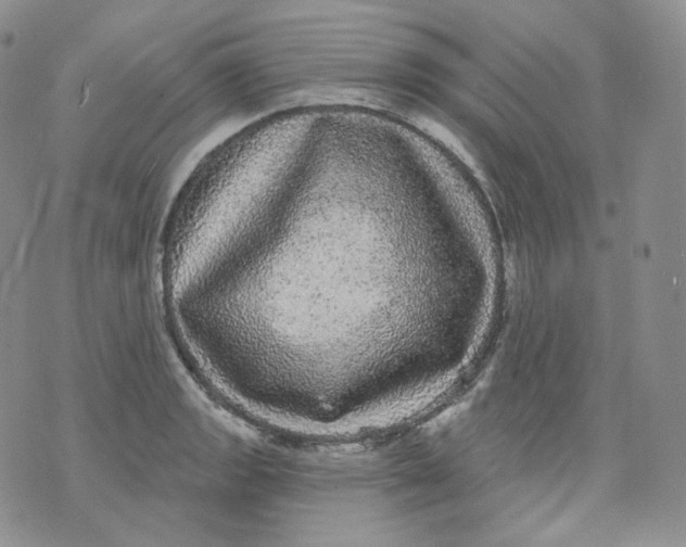 X0000070861133200607071851