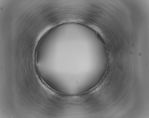 X0000070861135200607071851