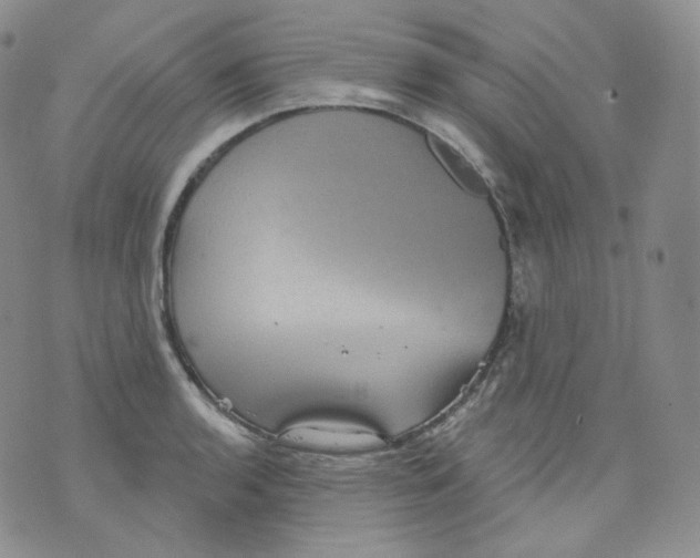 X0000070861136200607071851