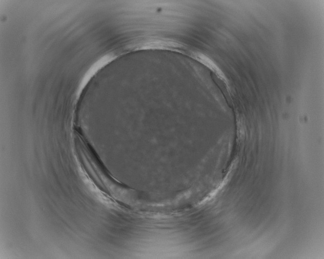 X0000070861138200607071851