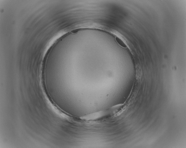 X0000070861139200607071851