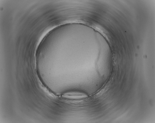 X0000070861140200607071851