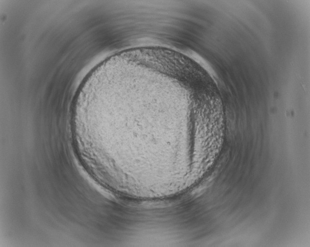 X0000070861142200607071851