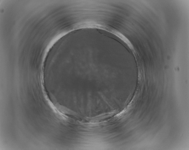 X0000070861144200607071851