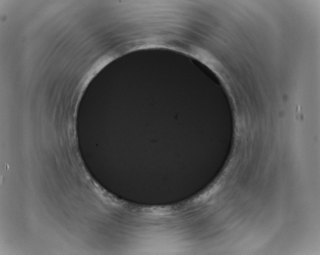 X0000070861145200607071851